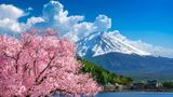 В Японії вирішили закрити популярний вид на гору Фудзі: причина вражає
