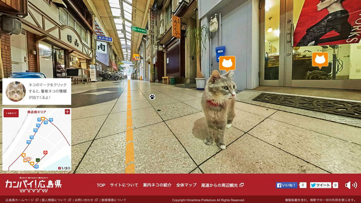 Японці створили котячий аналог Google StreetView - фото 1