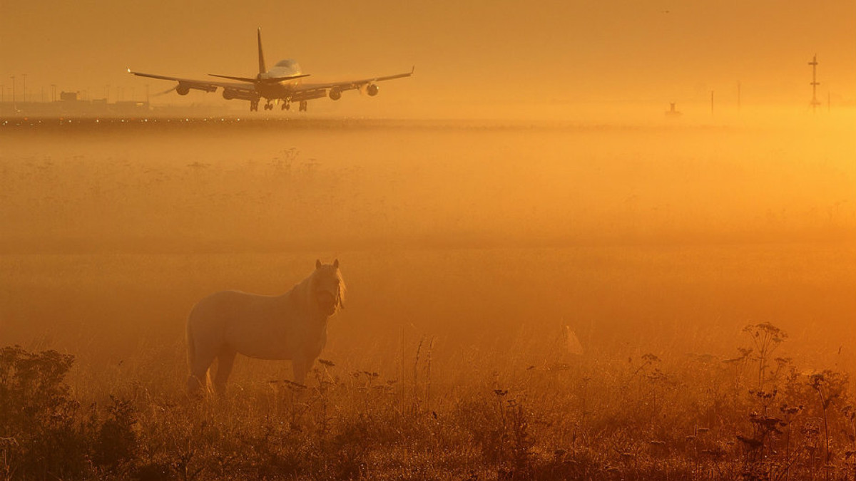 У Харкові через туман скасовані авіарейси - фото 1