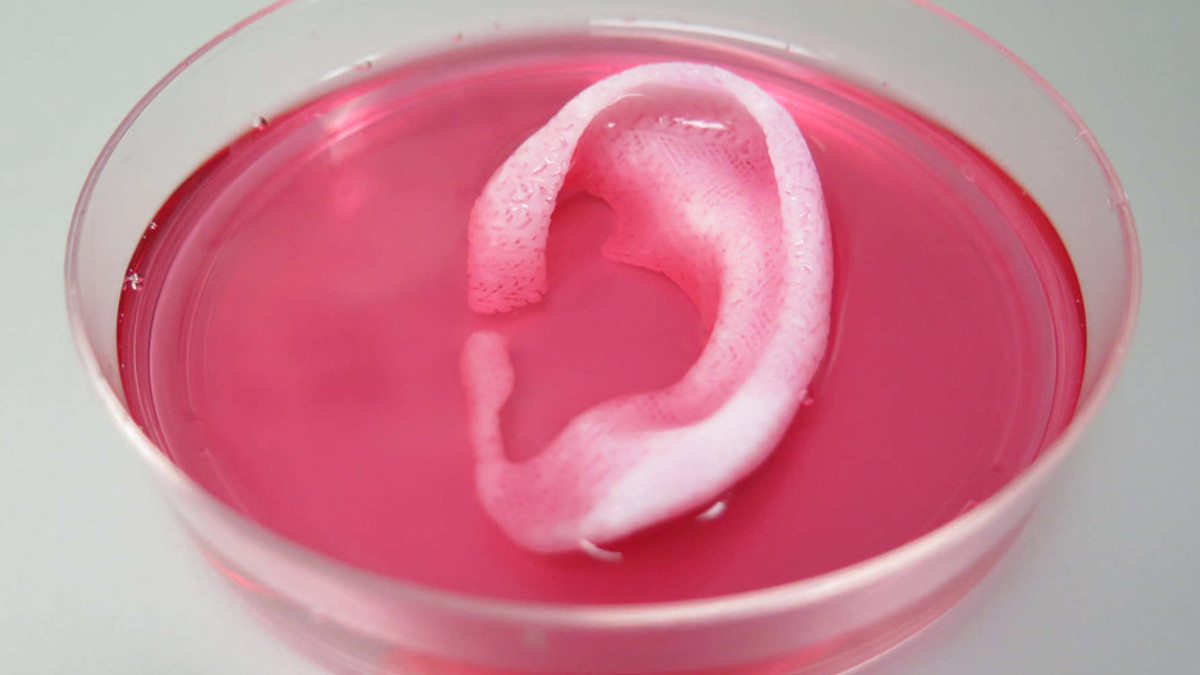 Вчені створили 3D-принтер для друку органів - фото 1