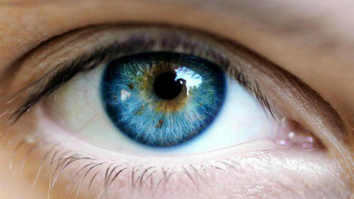Китайським науковцям вдалося регенерувати кришталик ока - фото 1