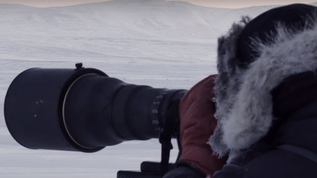 National Geographic показав роботу фотографа в Арктиці - фото 1