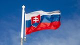 Активісти Словаччини зібрали майже 2 млн євро на снаряди для України