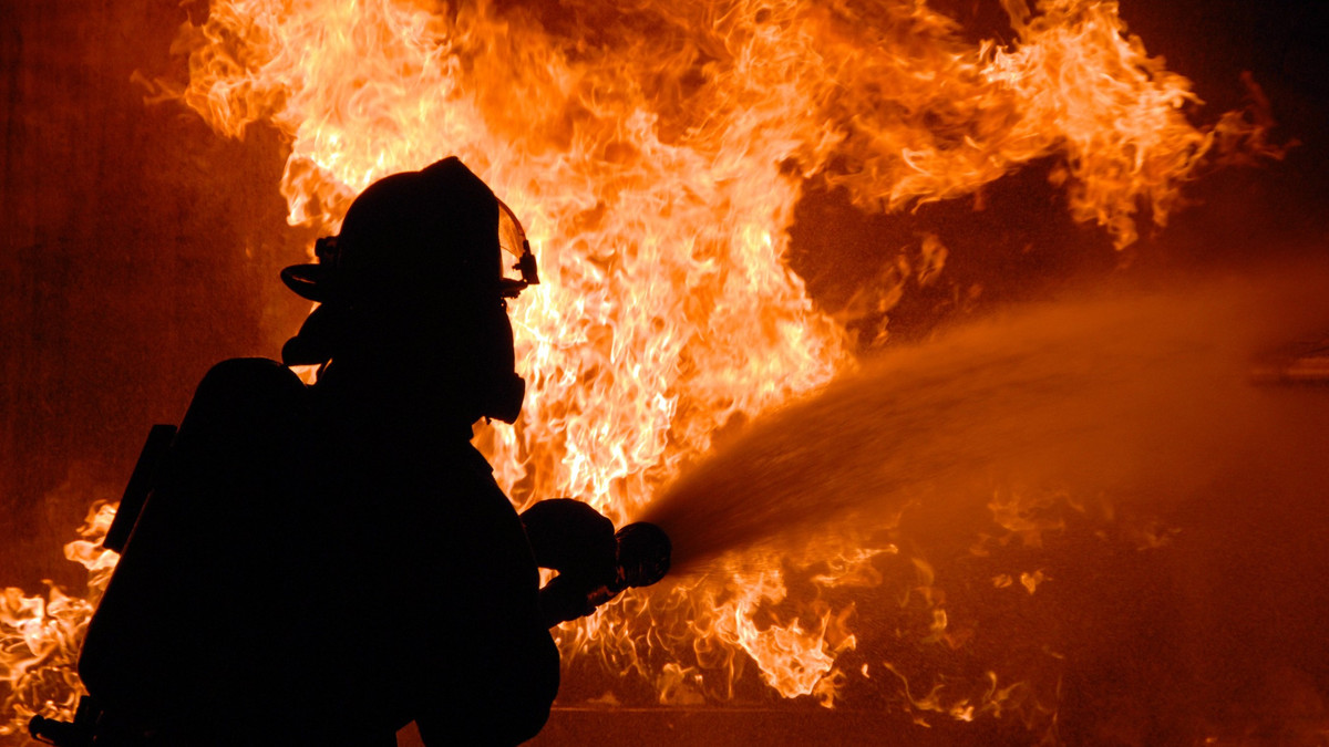 На Вінничині під час пожежі загинув власник будинку - фото 1