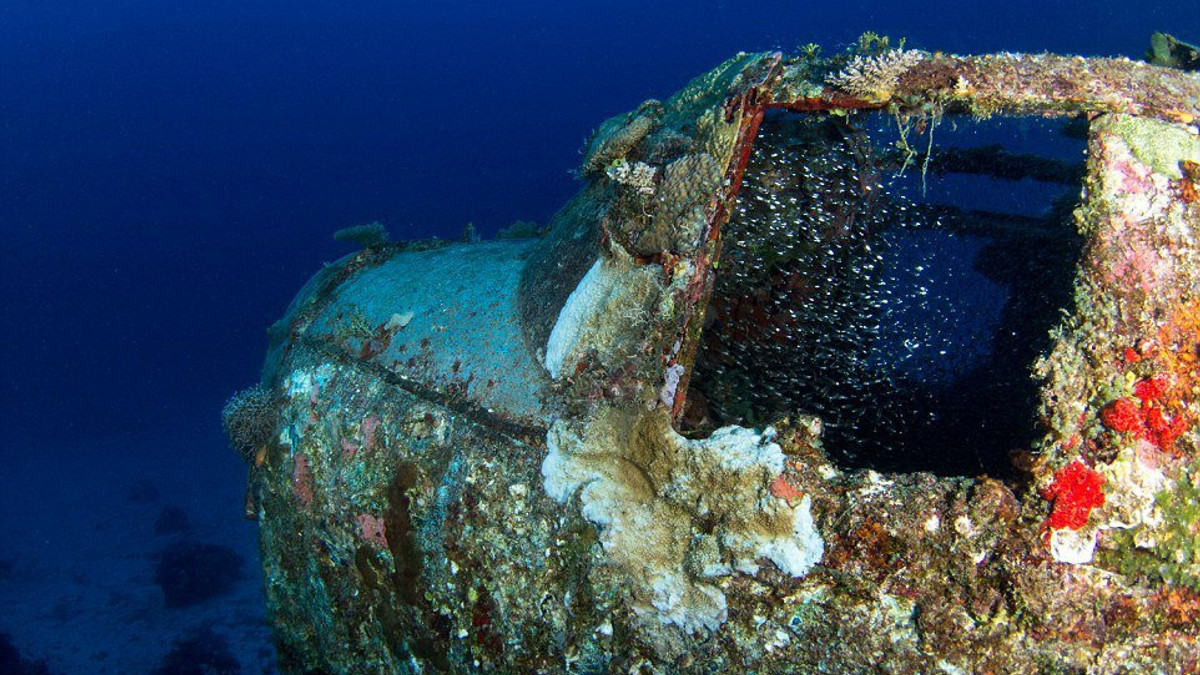 В мережі з'явились фото підводного "цвинтаря літаків" - фото 1