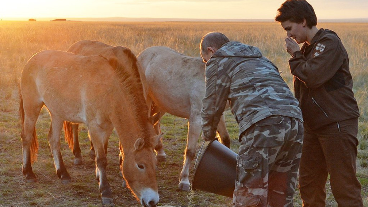 Путін годує коня Пржевальського - фото 1