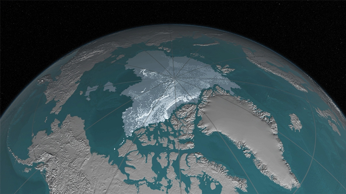 Північний полюс - фото 1