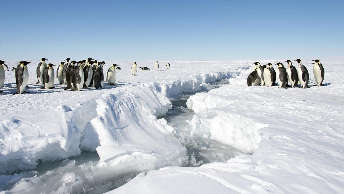 Льодовий щит на заході Антарктики тріснув зсередини - фото 1