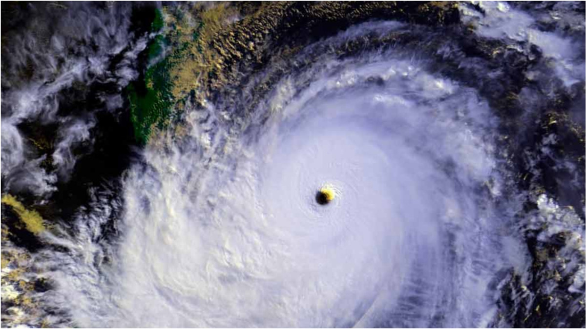 Тайфун - фото 1