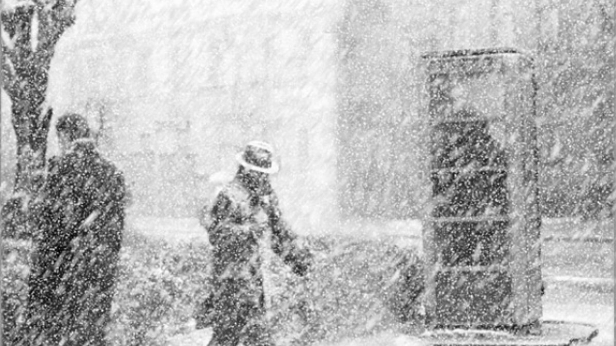 На Закарпатті через сильні снігопади закрили рух транспорту - фото 1