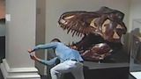 Чоловік проник в музей заради селфі з динозавром: епічне відео