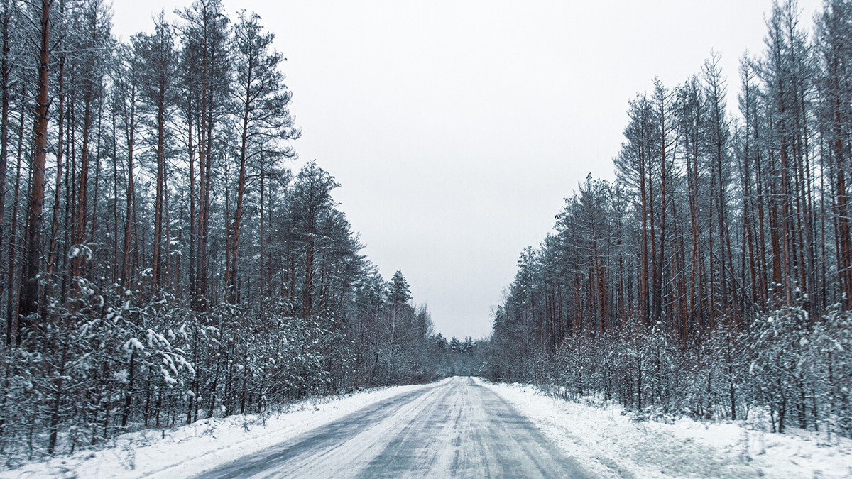 Зима у Чорнобилі - фото 1