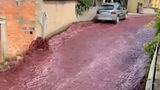 Аварія на заводі: у Португалії вулиці міста залило двома мільйонами літрів вина